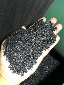 Riz noir collant de nouvelle récolte du Vietnam Tien Giang – Exportateur en gros proposant des grains entiers naturels d'excellente qualité - Product Image 5