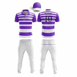 Ensemble d'uniformes de cricket personnalisés pour hommes, couleur jaune et violet, polo à manches courtes avec pantalon à taille élastique, toutes saisons, séchage rapide - Product Image 2