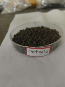 Approvisionnement en gros d'engrais organique en poudre Orthoplus à haute efficacité pour la croissance des cultures, disponible à un prix abordable - Product Image 3