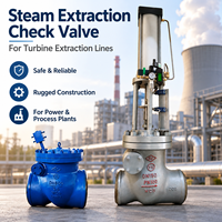 Katup Ekstraksi Turbin Non Return Valve WCB Katup Cek Berflens untuk Penutupan Cepat dan Perlindungan Aliran Uap Terbalik