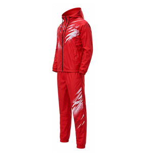 Conjunto de Chaqueta Cortavientos con Capucha Personalizada para Hombre, Chaqueta de Poliéster Estampada, Pantalones Completos, Ropa Deportiva Ligera para Correr, Entrenamiento, Gimnasio, Aire Libre - Product Image 4