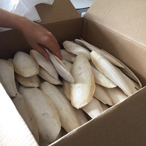 Hueso de Sepia Seco al por Mayor para Alimentación Animal e Industria de Mascotas - Product Image 1