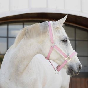สายจูงม้าไนลอนสีชมพูพร้อมแผ่นรองขนแกะ ดีไซน์ปรับได้อย่างปลอดภัย - Product Image 2