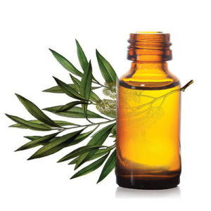 Aceite Esencial de Cajuput 100% Puro Hanu, Destilado al Vapor Natural para Aromaterapia, Cuidado de la Piel y Uso Cosmético, en Botellas de Vidrio Ámbar - Product Image 4