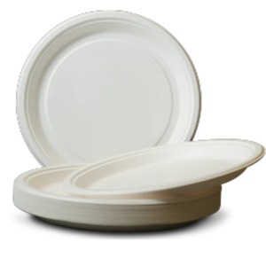 Assiettes en bagasse de canne à sucre robustes, biodégradables et écologiques, disponibles en gros - Product Image 2