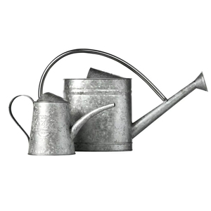 High Quality Eco-Friendly Green Galvanized Steel 8L Watering Can Metal Garden <b>Planter</b> Decorative Flower Pitcher Home Outdoor Use - Product Image 2