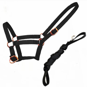 Cabestro de nailon azul para caballo con acolchado marrón y hebillas metálicas para montar y entrenar - Product Image 5