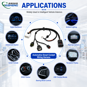 Harnais de câblage 12 broches pour véhicule à énergie nouvelle personnalisé, gaine en PTFE/Nylon PVC, indice de protection IP67, pour système de capteurs de cockpit intelligent automobile - Product Image 2
