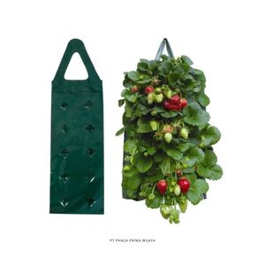 Jardinière verticale de haute qualité à 10 poches, sac de culture suspendu en HDPE, pochette murale pour plantes, jardinière pour fraises et herbes - Product Image 3