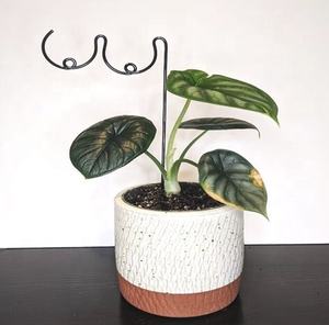 Enrejado de serpiente de metal para interiores y exteriores Balcón Plantas Decoraciones de jardín y soporte de plantas Personalización - Product Image 4