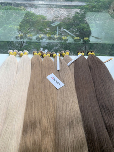 Extensions de cheveux vietnamiens bruts, prix usine, cheveux naturels, longueur complète de 40 cm à 75 cm, pour décoloration et teinture brun blond. - Product Image 2