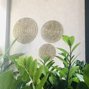 หญ้าทะเลธรรมชาติแขวนผนังตกแต่งรายการ - Product Image 3