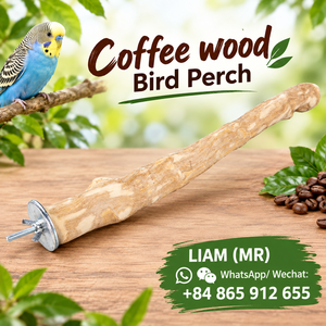 ที่นั่งนกทำจากกิ่งไม้กาแฟธรรมชาติ ทนทาน เป็นมิตรกับสิ่งแวดล้อม มีทั้งแบบกิ่งเดี่ยวและกิ่งคู่ - Liam - Product Image 6