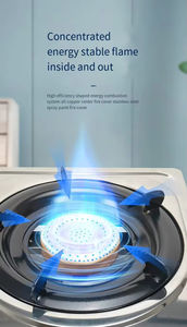 Cuisinière à gaz en acier inoxydable grande capacité haute sécurité SXY-Z01 à double brûleur, économe en énergie, idéale pour hôtels et foyers - Meilleures ventes - Product Image 5