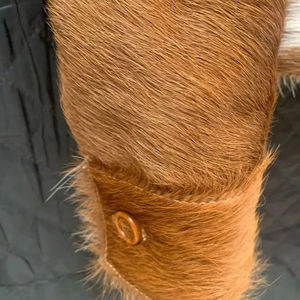 Veste en cuir de vachette sur mesure pour femmes |   Vestes en cuir de cowgirl personnalisées en cuir de vache, cadeau idéal pour elle - Product Image 5