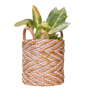 Panier rond tressé à motif rayé YALIMO en jacinthe d'eau (3 tailles) - Product Image 2