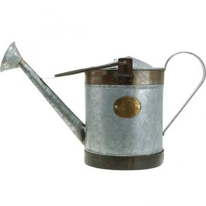 Arrosoir en métal design pour un jardinage au décor moderne, bec long, poignée ergonomique, résistant à la corrosion, finition robuste - Product Image 4