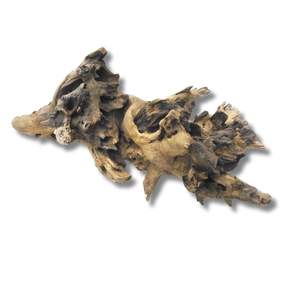 Eco-Friendly Decorative Aquascape Terrarium <b>Vivarium</b> Drift <b>Wood</b> Rose Aquarium Decor - Product Image 1