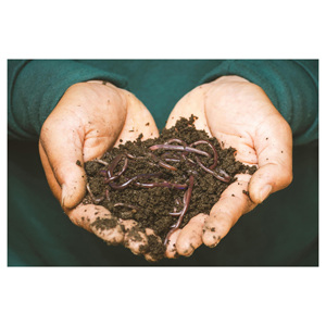 Vermicompost naturel, engrais organique pour améliorer la fertilité du sol, la santé des plantes et la productivité agricole - Product Image 6