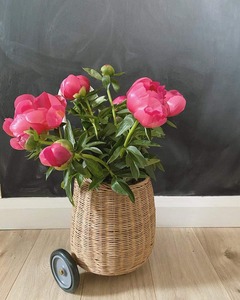 Rattan Trolley wholesale eco-friendly rattan baskets made in Vietnam with immediate delivery ready to ship - Product Image 4