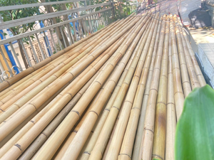 วัสดุไม้ไผ่ MITvn ขนาดเส้นผ่านศูนย์กลาง 2-9 ซม. สีธรรมชาติ ไม้ไผ่ตันกิ้น ความยาว 50-200 ซม. สำหรับค้ำต้นไม้ในสวนและบ้าน - Product Image 4