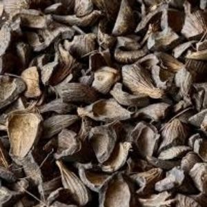 Cáscaras de Nuez de Palma Premium para Energía de Biomasa, Combustible para Barbacoa y Uso Industrial – Alto Valor Calorífico, Suministro a Granel, Precio Competitivo - Product Image 1