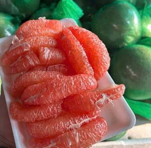 ส้มโอ (เกรปฟรุต) เปลือกเขียวสด เนื้อแดงฉ่ำ พร้อมส่งออก ขายดีสำหรับสหรัฐอเมริกา ยุโรป ออสเตรเลีย ผลิตจากเวียดนาม - Product Image 4