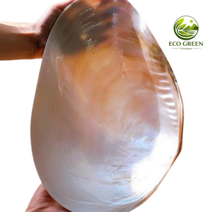 Plato de Nácar Perfecto para Comida y Desayuno, Bandeja de Concha Hecha a Mano, Vajilla Premium, Decoración para el Hogar, Regalo de Vietnam - Product Image 4