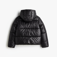 Veste matelassée pour homme, à capuche, imperméable, coupe-vent, personnalisable, OEM, vente en gros