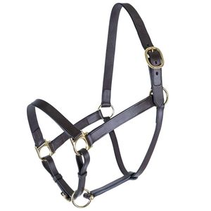 Cabestro de Cuero Genuino Premium para Caballo con Acolchado Suave, Ajustable y Duradero para Doma Clásica, Entrenamiento y Uso Diario - Product Image 1