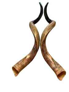 แตรโชฟาร์ดีไซน์พิเศษสำหรับการนมัสการและการทำสมาธิ แตรโชฟาร์ทำมือจากเขาแกะ สำหรับเป็นเครื่องดนตรีทางศาสนา - Product Image 6