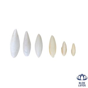 Os de Seiche Pur de Haute Qualité, Durable, Très Vendu, Riche en Minéraux Calcium, Absorption Rapide, Soutien pour la Croissance, Vente en Gros - Product Image 1