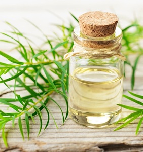 น้ำมันหอมระเหยทีทรีออร์แกนิคสำหรับเครื่องกระจายกลิ่นอโรมาเธอราพี บำรุงผิว บำรุงเส้นผม น้ำมันธรรมชาติฆ่าเชื้อโรค ขายส่งจำนวนมากจากผู้ผลิต - Product Image 2