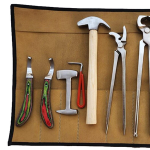 Kit de Herramientas para el Cuidado de Pezuñas de Caballos con Cuchilla y Pinza de Acero Inoxidable, Certificado CE - Product Image 4
