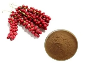 Polvo amarillo marrón claro Tamaño de partícula 100% Pass 100 Malla Parte de planta Fruta seca Extracto de Schisandra - Product Image 5