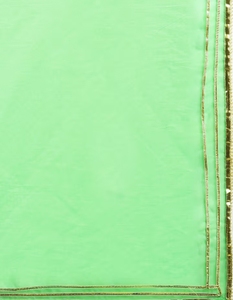 Sari de organza verde KV con tonos degradados - Product Image 6