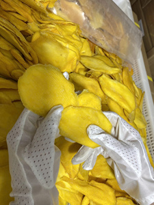 Mangues séchées de haute qualité 99 Gold Data Mina, en vrac, pour l'exportation, tranches sucrées 100% naturelles, origine Vietnam, pour la vente au détail et la transformation alimentaire - Product Image 2