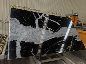 New Polished Natural Stone <strong>Black</strong> with White <strong>Granite</strong> <strong>Slabs</strong> - Product Image 5