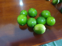 Citrons sans pépins de haute qualité du Vietnam pour l'exportation Longue durée de conservation Grand goût et peau lisse Idéal pour la vente au détail en gros