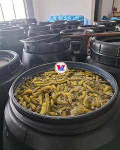 BEST-SELLER Concombre en conserve haché salé, mariné du Vietnam - Product Image 6