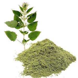 Polvo de Urtica Dioica, Extracto Natural de Planta Herbal, Rico en Compuestos Botánicos para el Bienestar Diario y Suplemento Herbal Premium - Product Image 3