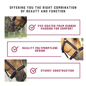 Accesorios Completos: Juego de Cuerdas y Cabestros para Caballos, Ponis Pequeños y Grandes, Suministros Ecuestres de Nylon, Estilo Silla de Montar Western - Product Image 4