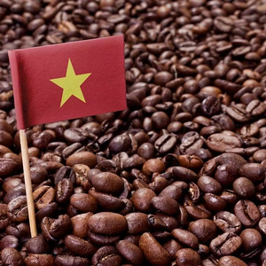 CAFÉ ESPRESSO EN GRANO PERSONALIZADO, MEZCLA DE ARÁBICA Y ROBUSTA, SERVICIO DE MARCA PRIVADA OEM - Product Image 1