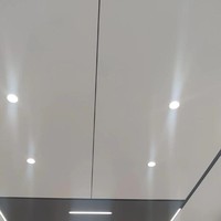 Dalles de plafond suspendu en aluminium à installation facile avec système de grille en T, ignifuges et résistantes à l'humidité, pour la décoration intérieure