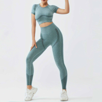 Service OEM Pantheraint, vêtements de fitness hautement élastiques, ensemble de vêtements de sport sans couture, leggings ajustés, ensemble deux pièces pour femmes, évacuation de l'humidité