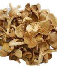 2024 Premium Dried Oyster Mushroom Hot Export with Low Price <b>Cultivated</b> Raw Processing for Eating in Bulk - Product Image 2
