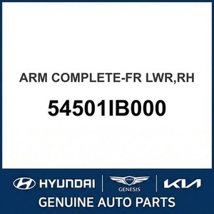 Pièces et accessoires pour voitures et camions Elantra Neuf Autre Côté droit 54501IB000 - Product Image 1