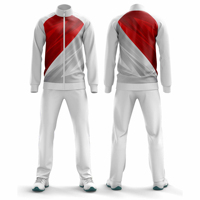 Ensemble de survêtement sportif grande taille, décontracté, uni, hiver, personnalisé, veste et pantalon de sport assortis, 100% coton