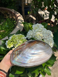 Mother of Pearl Jewelry Organizer Lustrous Shimmering Round Mother Of Pearl Jewelry <b>Box</b> <b>Red</b> Velvet Lining Luxury Vietnam 2026 - Product Image 5