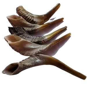 Meilleure qualité corne de bélier Shofar corne naturelle Shofar pour souffler et religieux but casher Shofar de A Z artisanat - Product Image 1